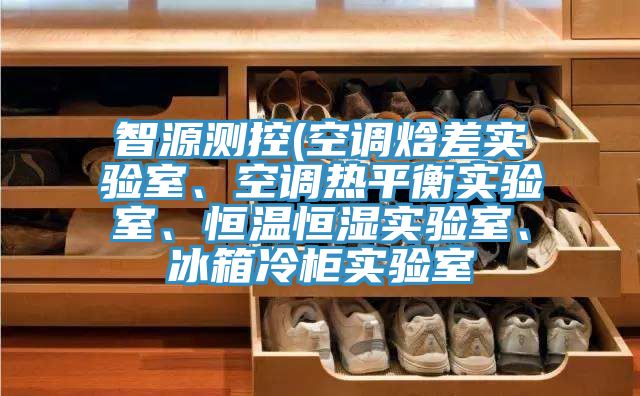 智源測控(空調焓差實驗室、空調熱平衡實驗室、恒溫恒濕實驗室、冰箱冷柜實驗室