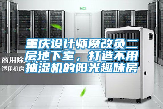重慶設(shè)計師魔改負(fù)二層地下室，打造不用抽濕機(jī)的陽光趣味房
