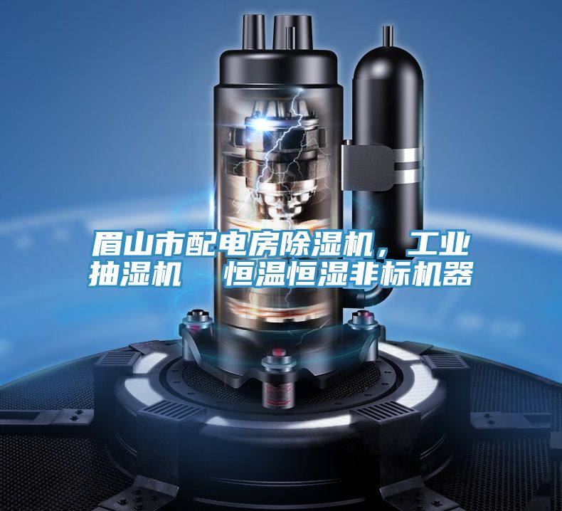 眉山市配電房除濕機,工業抽濕機 恒溫恒濕非標機器
