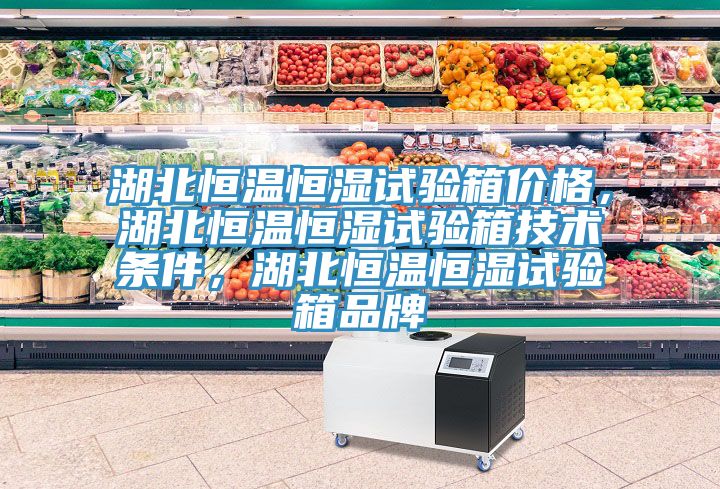 湖北恒溫恒濕試驗箱價格,湖北恒溫恒濕試驗箱技術(shù)條件,湖北恒溫恒濕試驗箱品牌