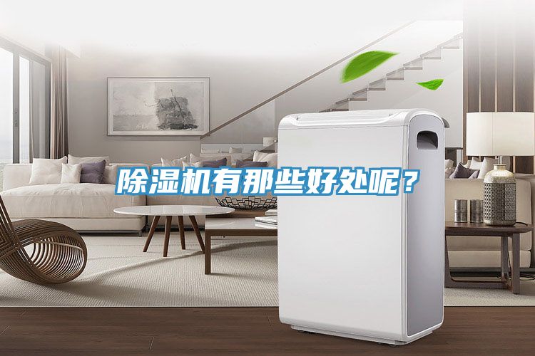 除濕機有那些好處呢？