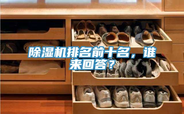 除濕機(jī)排名前十名,誰來回答?