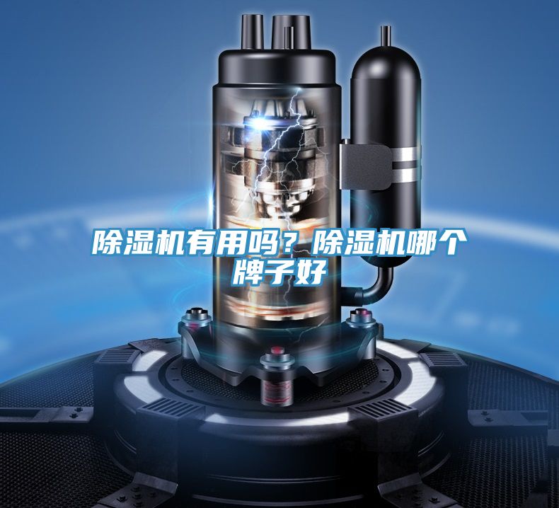 除濕機有用嗎？除濕機哪個牌子好