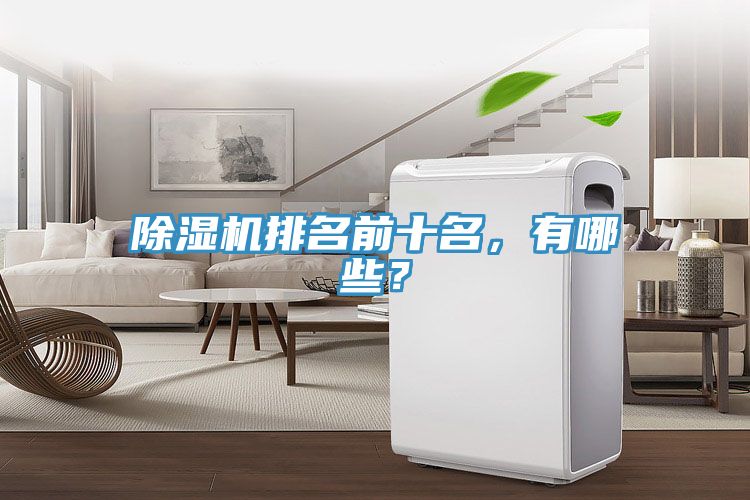 除濕機(jī)排名前十名,有哪些?