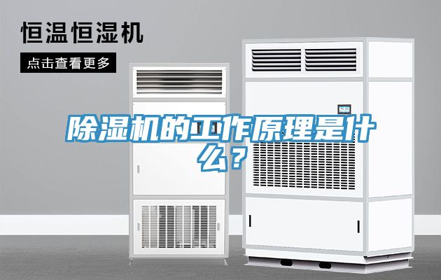 除濕機的工作原理是什么？