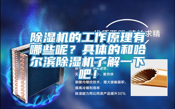 除濕機的工作原理有哪些呢？具體的和哈爾濱除濕機了解一下吧！