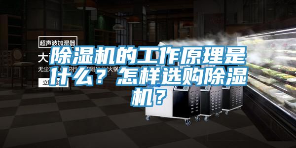 除濕機的工作原理是什么？怎樣選購除濕機？